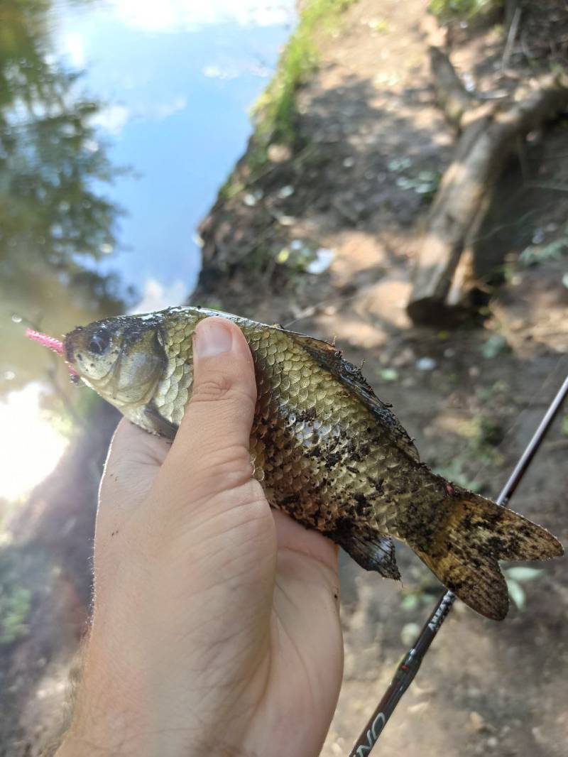 Фотозвіт риболовлі - Васильків