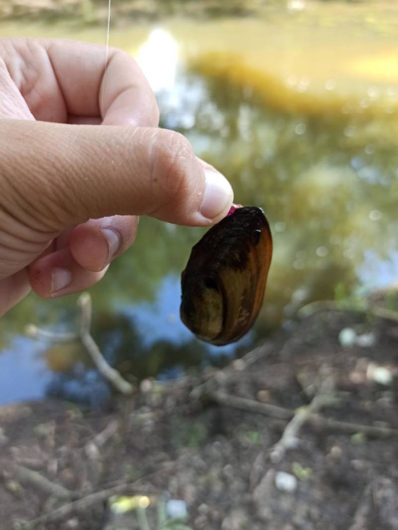 Фотозвіт риболовлі - Васильків