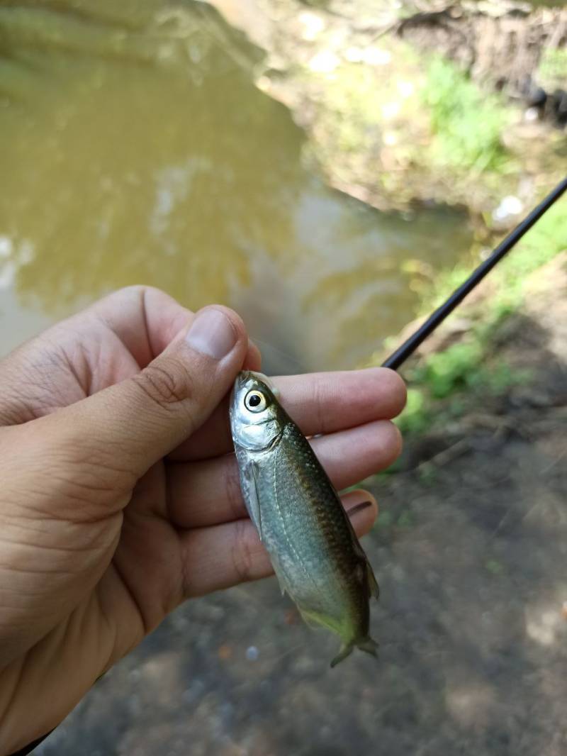 Фотозвіт риболовлі - Васильків