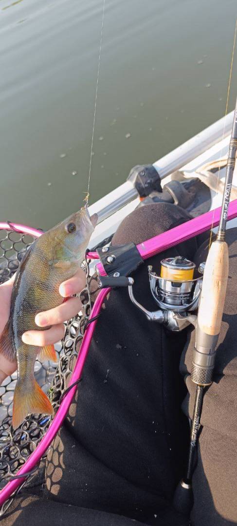 Фотозвіт риболовлі - Україна