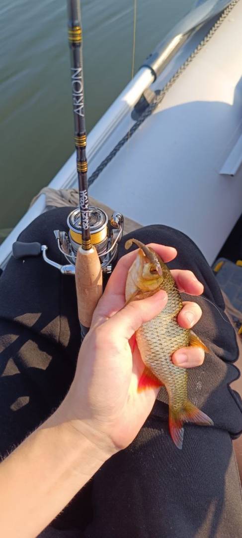 Фотозвіт риболовлі - Україна