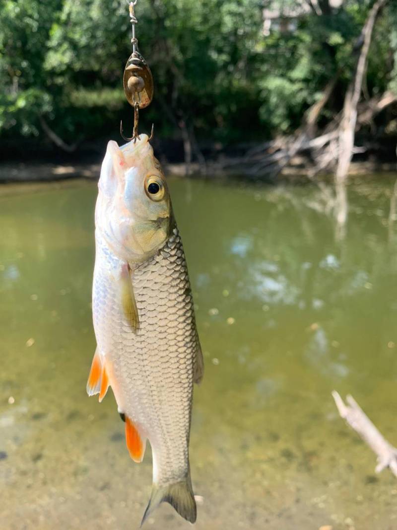 Фотозвіт риболовлі - Балаклія