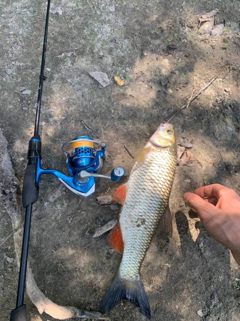 Фотозвіт риболовлі - Балаклія