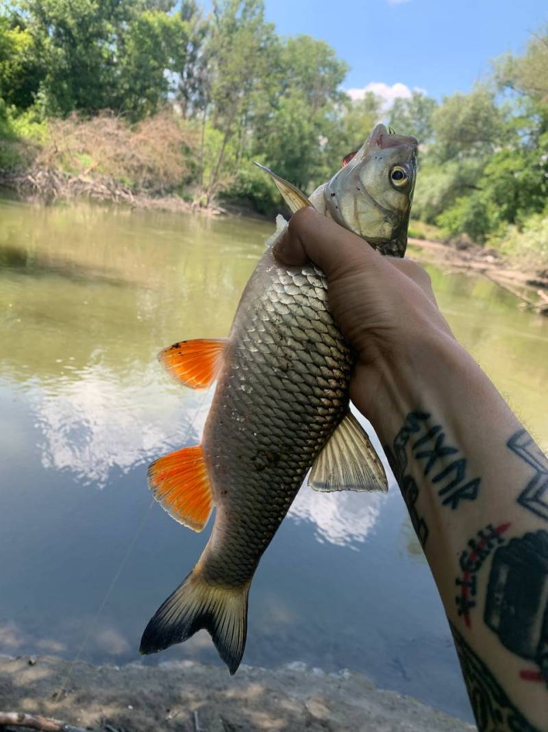 Фотозвіт риболовлі - Балаклія