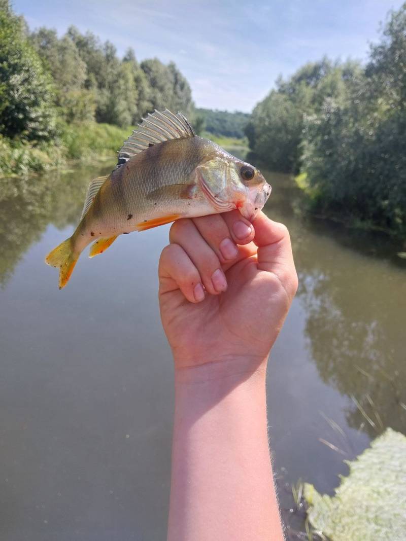Фотозвіт риболовлі - Збараж
