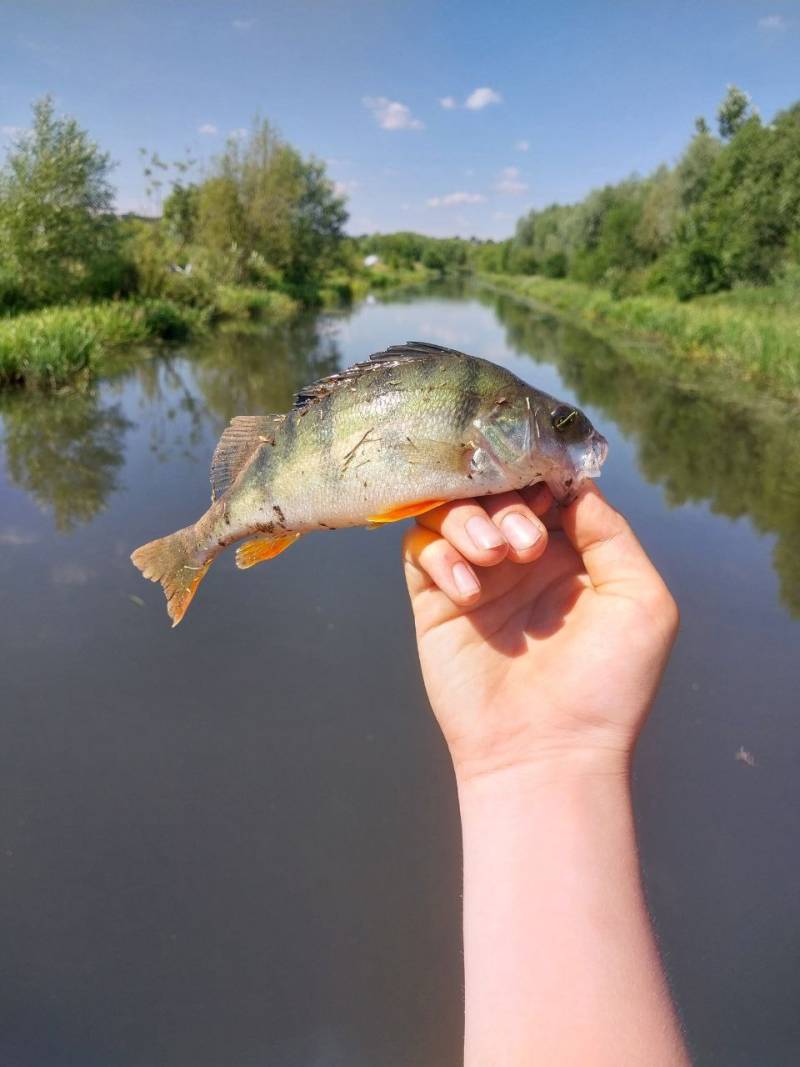 Фотозвіт риболовлі - Збараж