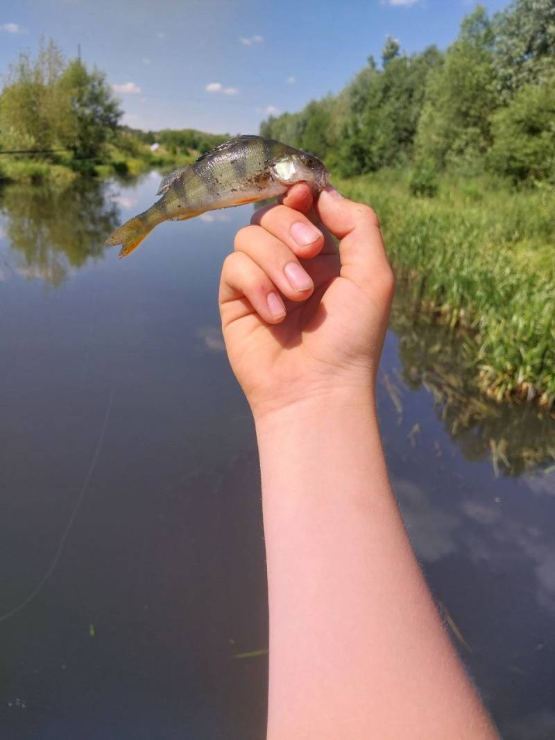 Фотозвіт риболовлі - Збараж