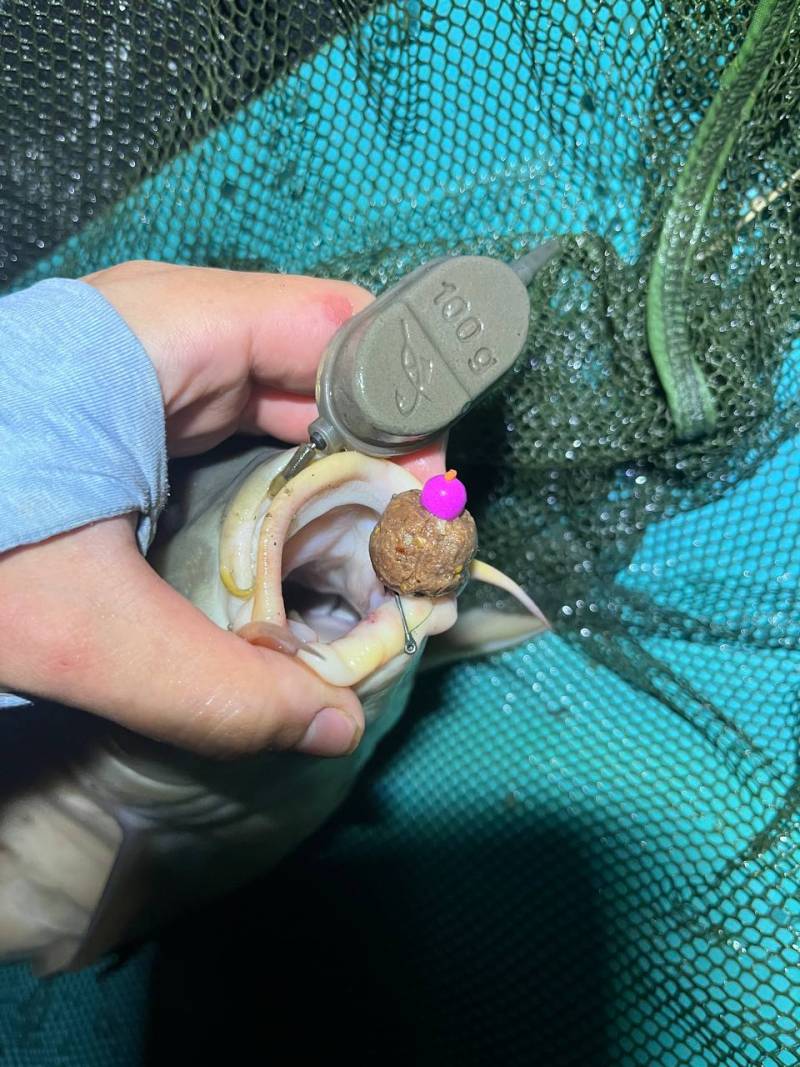 Фотозвіт риболовлі - Василівка