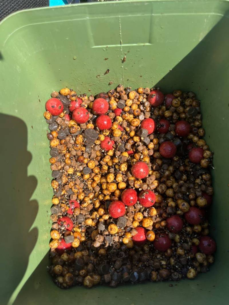 Фотозвіт риболовлі - Василівка