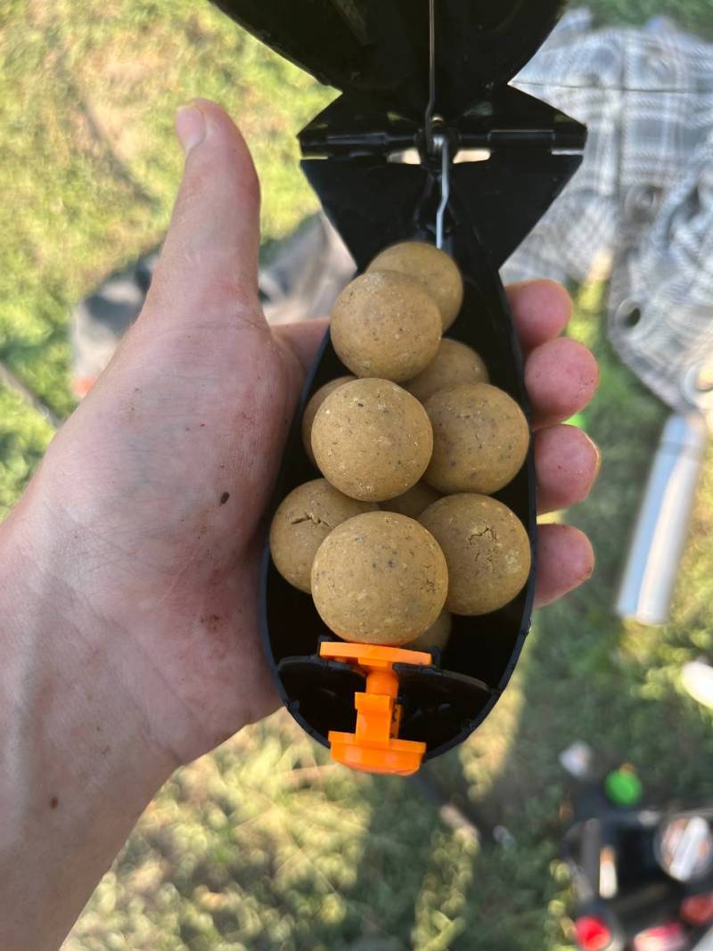 Фотозвіт риболовлі - Василівка