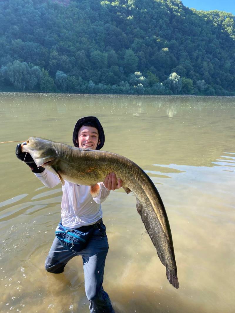 Риболовний звіт по рибі: Звичайний сом