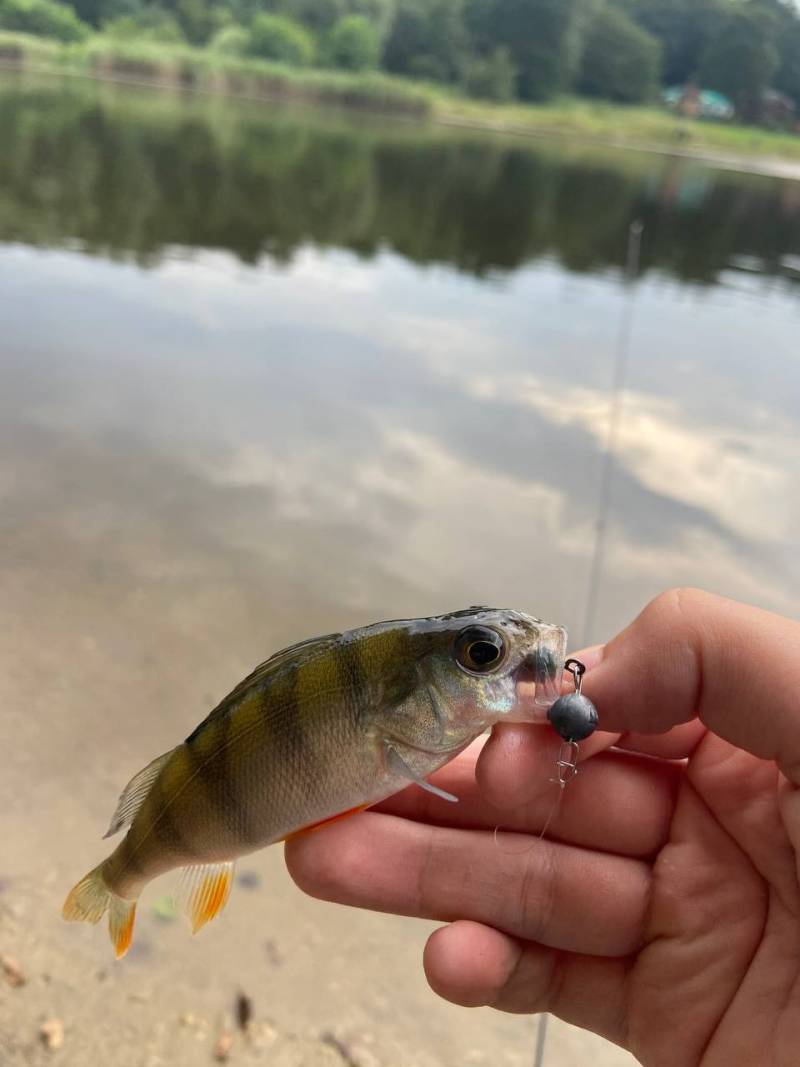 Фотозвіт риболовлі - Старий Самбір