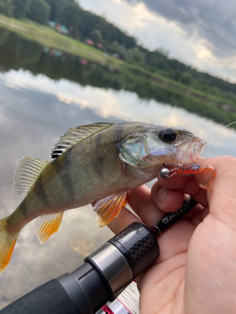 Фотозвіт риболовлі - Старий Самбір