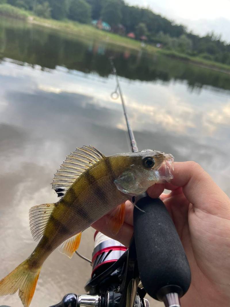 Фотозвіт риболовлі - Старий Самбір