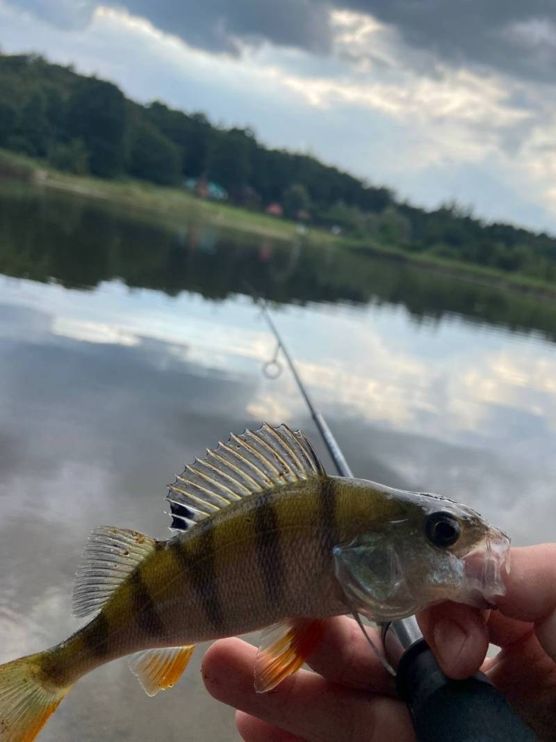 Фотозвіт риболовлі - Старий Самбір