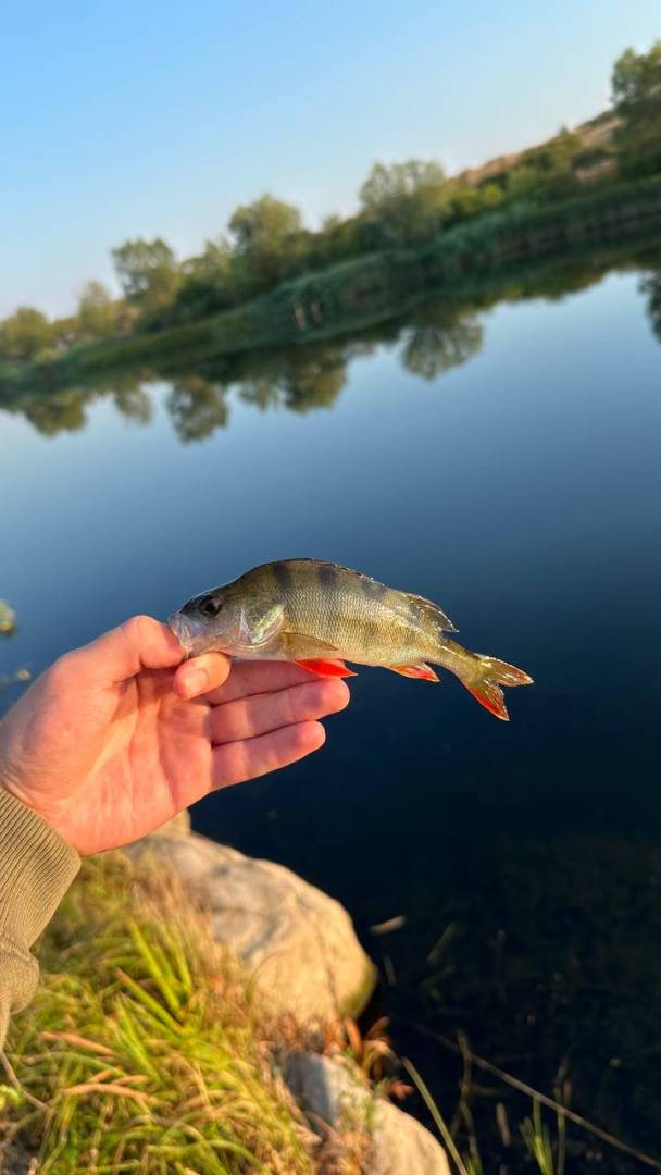Фотозвіт риболовлі - Запорізька область