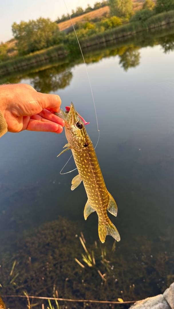 Фотозвіт риболовлі - Запорізька область
