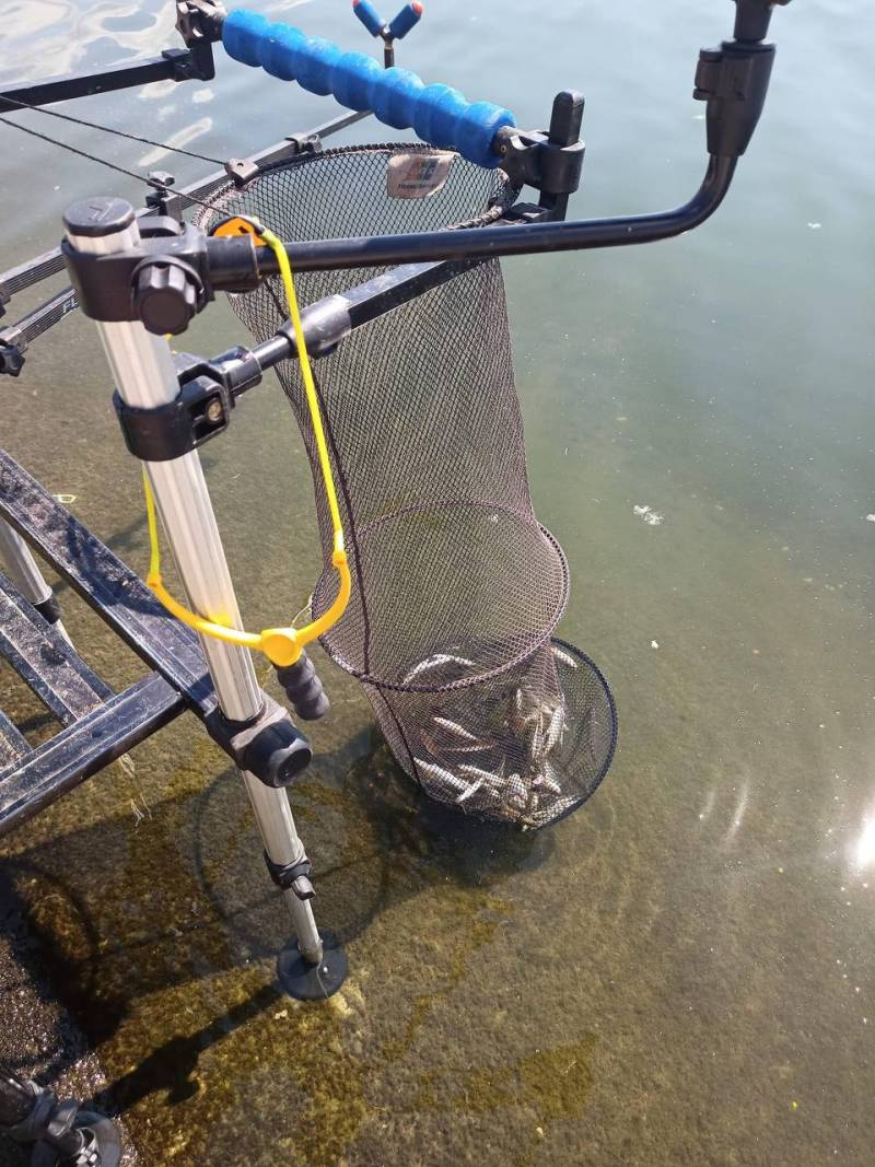 Фотозвіт риболовлі - Харківська область