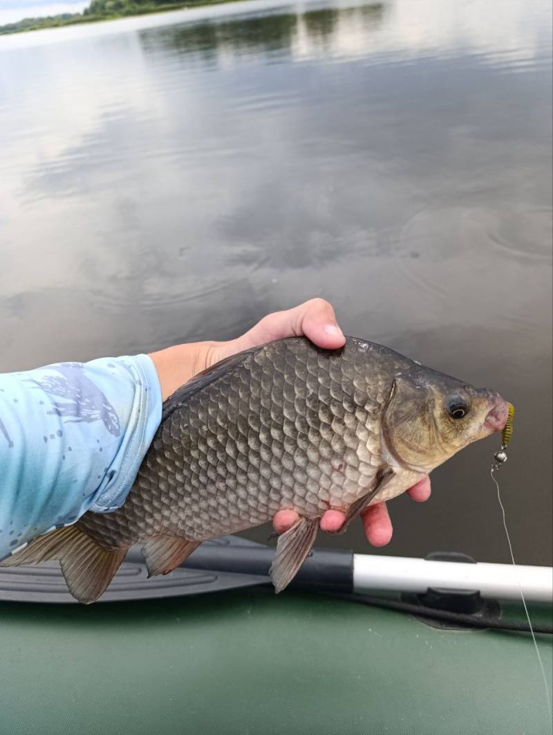 Фотозвіт риболовлі - Вишневе