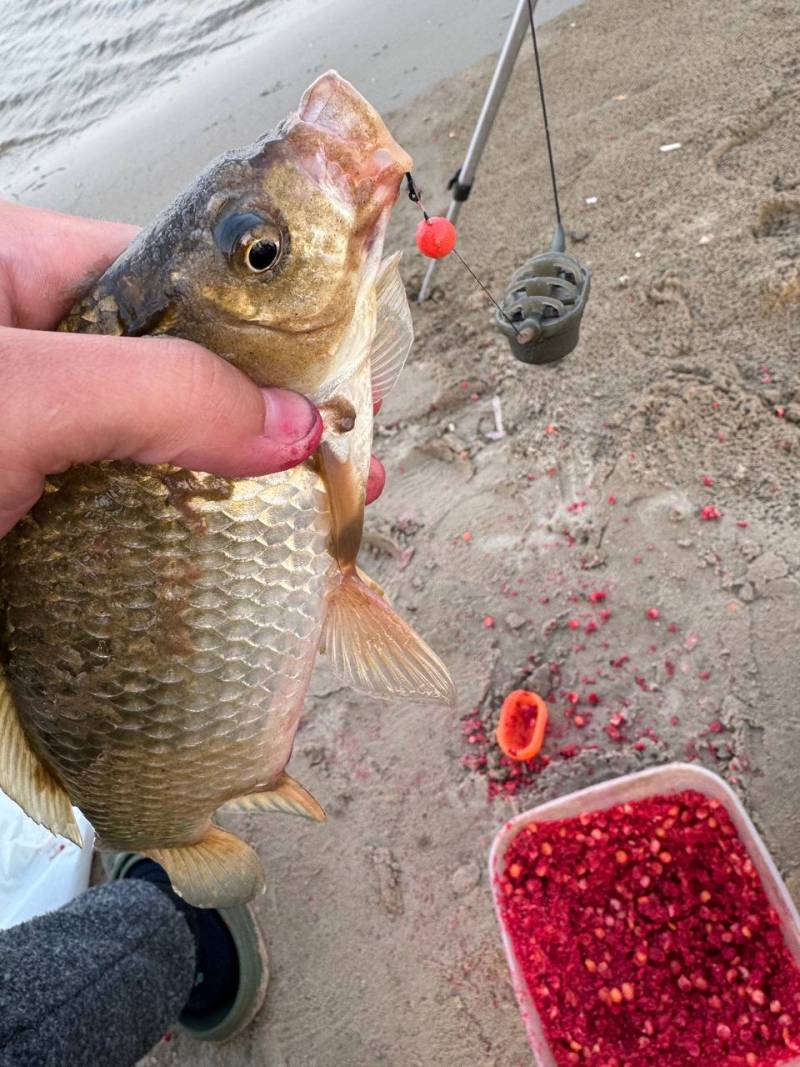 Фотозвіт риболовлі - Василівка