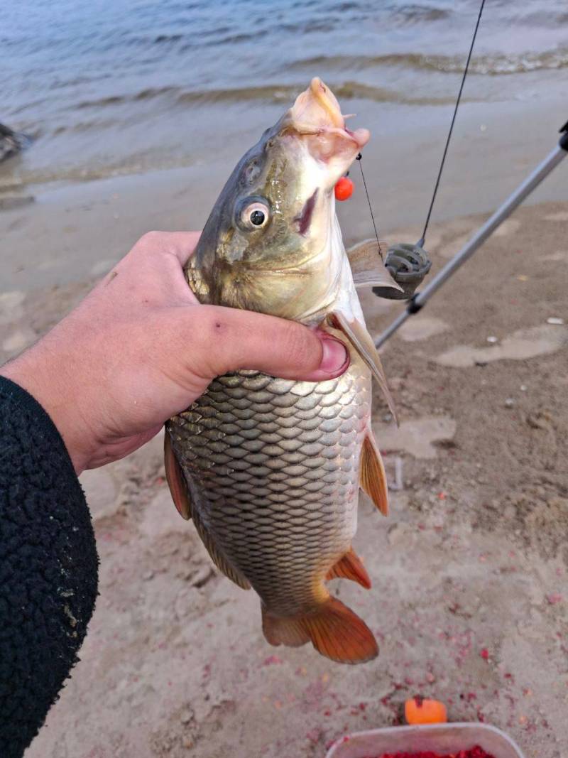 Фотозвіт риболовлі - Василівка