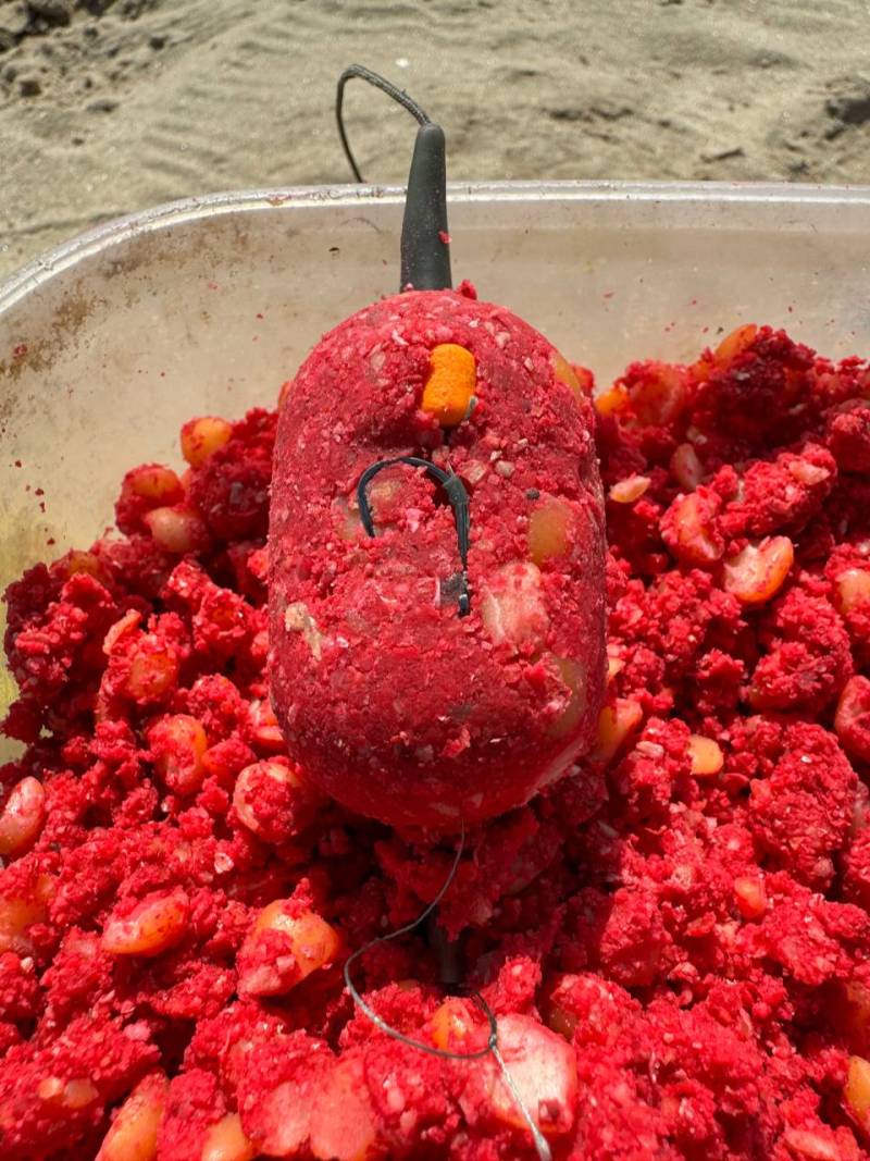 Фотозвіт риболовлі - Василівка