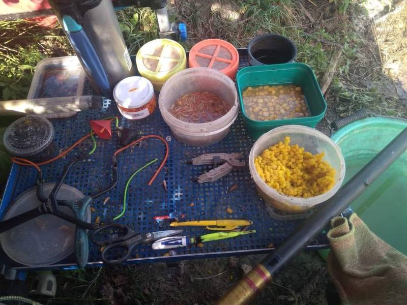 Фотозвіт риболовлі - Березівка