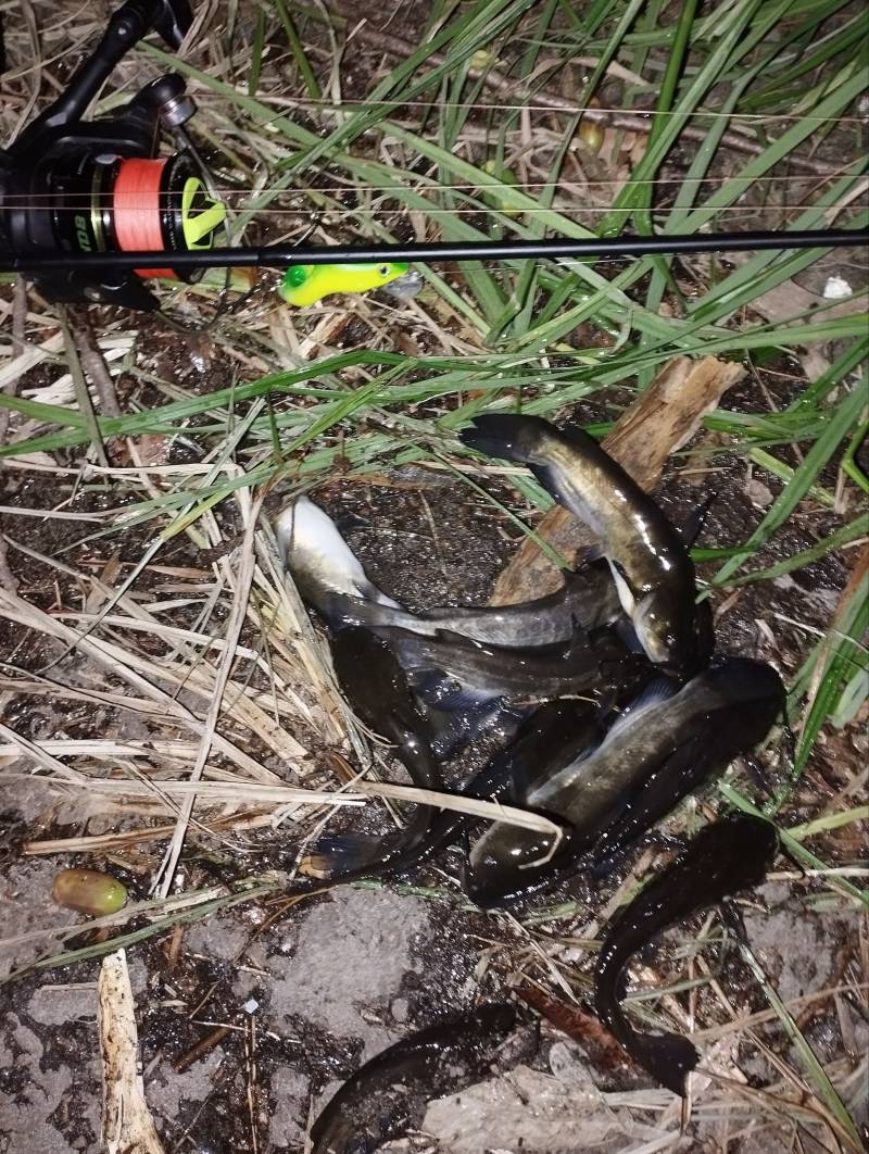 Фотозвіт риболовлі - Вишневе