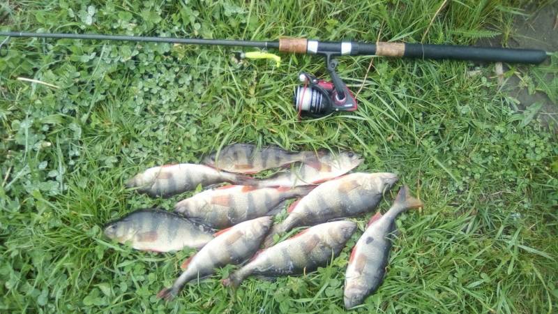 Фотозвіт риболовлі - Херсон