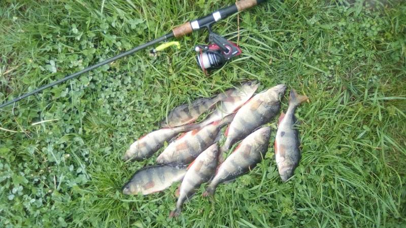 Фотозвіт риболовлі - Херсон