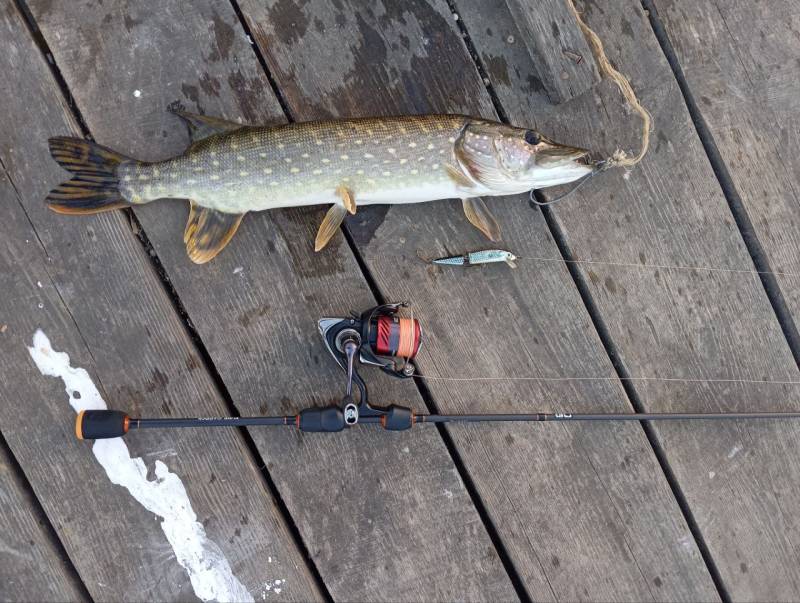 Фотозвіт риболовлі - Демидівка