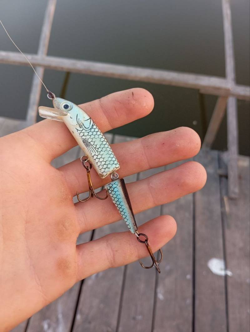 Фотозвіт риболовлі - Демидівка