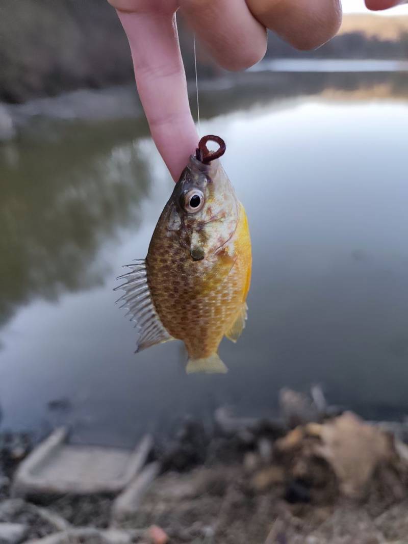 Фотозвіт риболовлі - Перечин