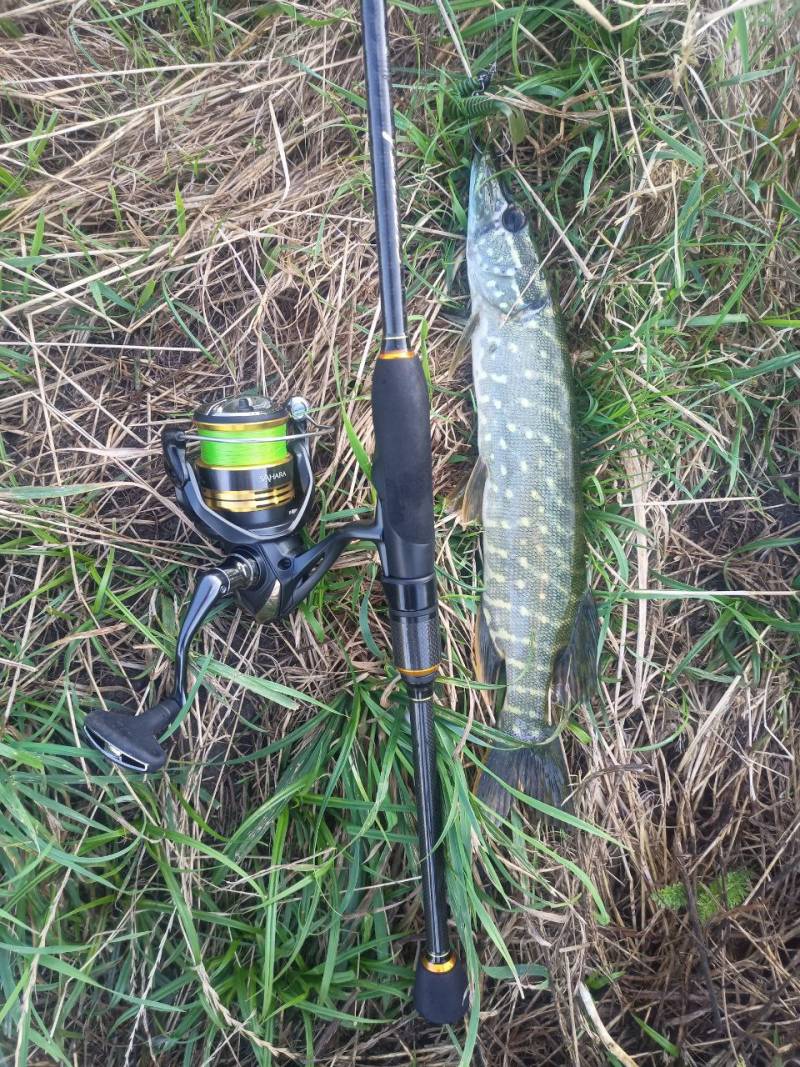 Фотозвіт риболовлі - Долинська