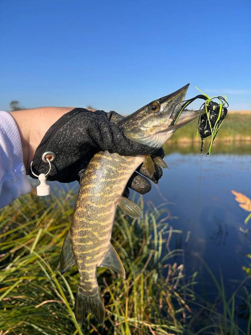 Фотозвіт риболовлі - Бердичів