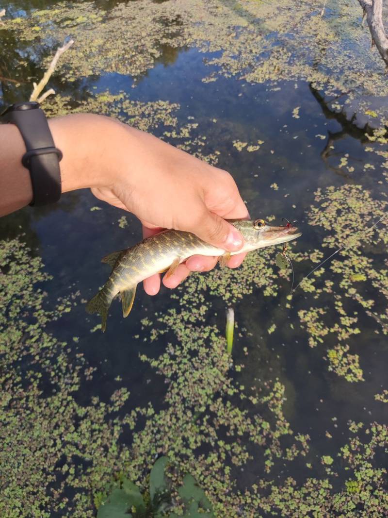 Фотозвіт риболовлі - Вінницька область