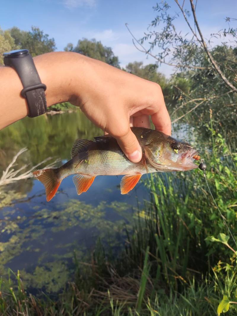 Фотозвіт риболовлі - Вінницька область