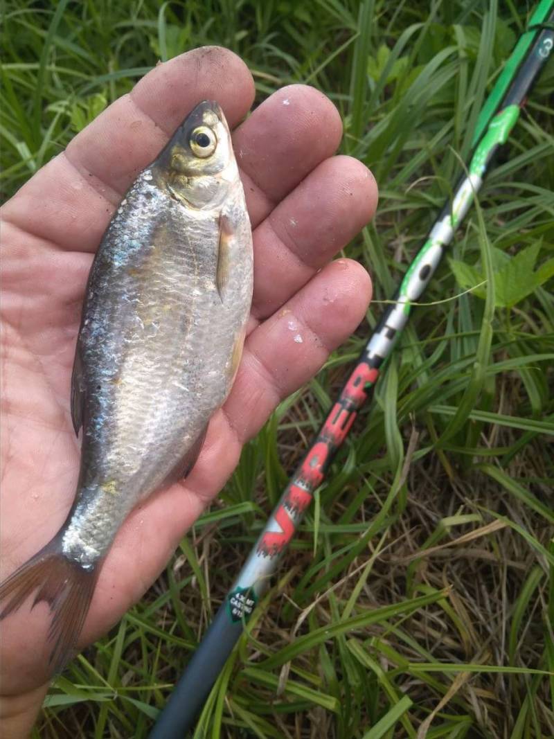 Фотозвіт риболовлі - Харківська область