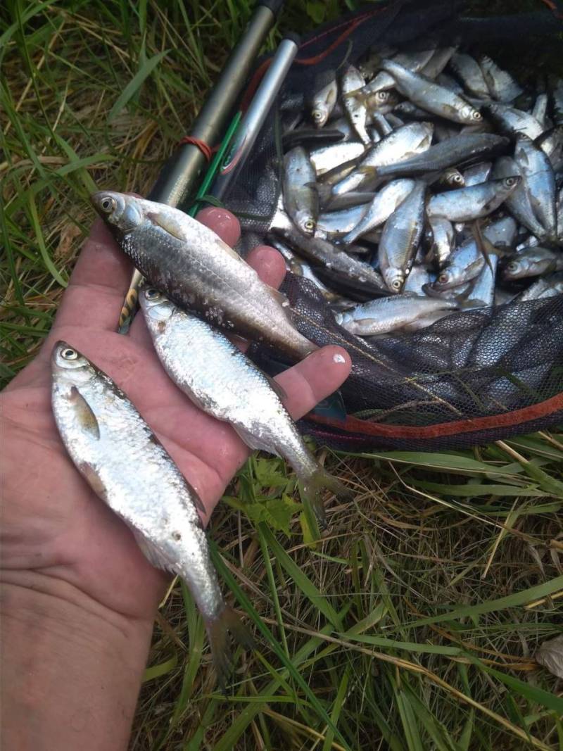 Фотозвіт риболовлі - Харківська область