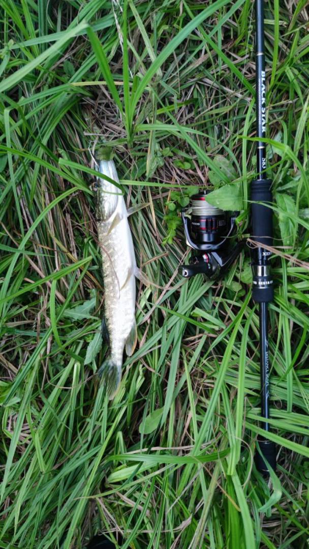 Фотозвіт риболовлі - Валки