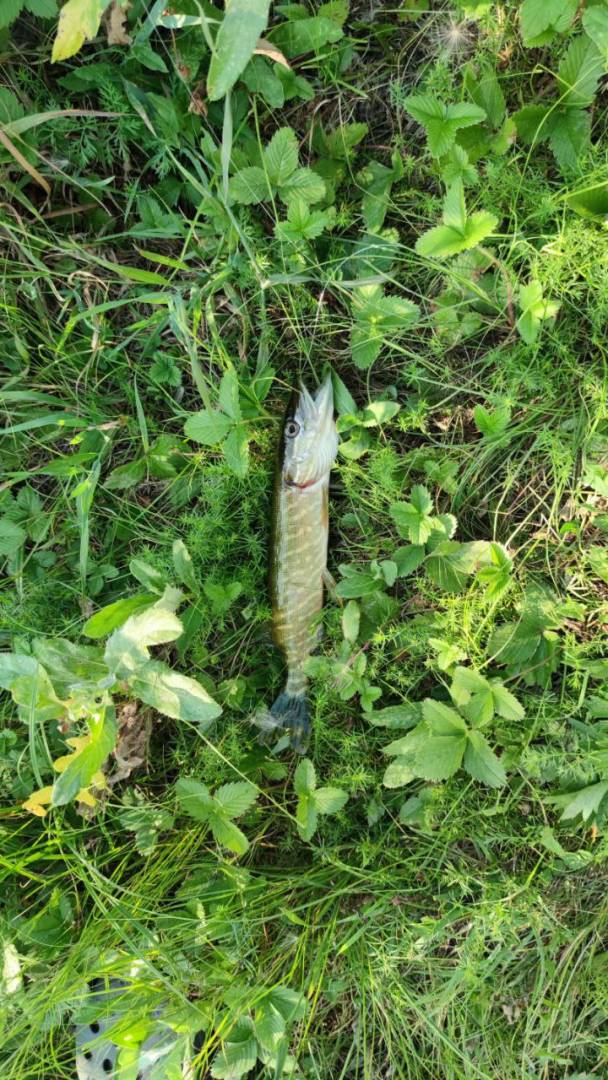 Фотозвіт риболовлі - Валки