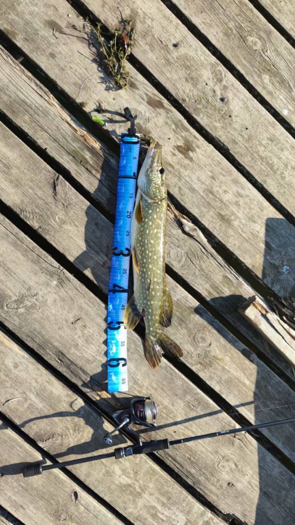 Фотозвіт риболовлі - Валки