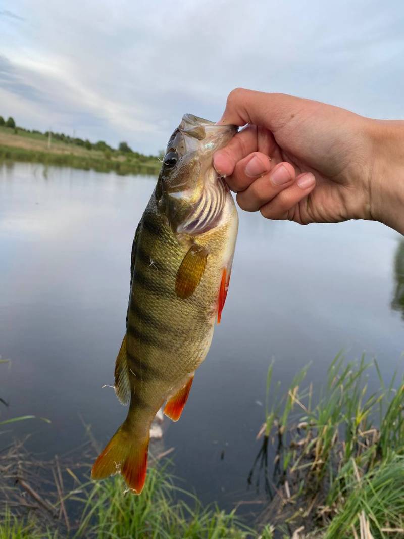 Фотозвіт риболовлі - Львів
