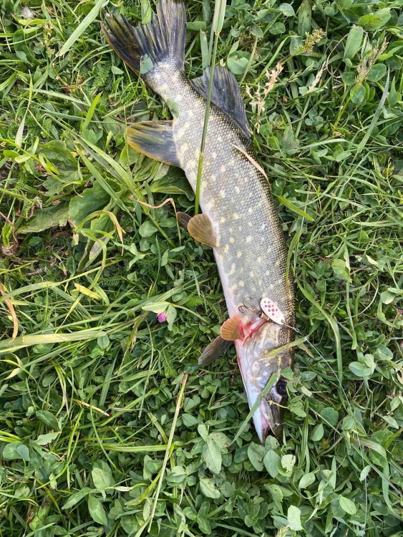 Фотозвіт риболовлі - Львів