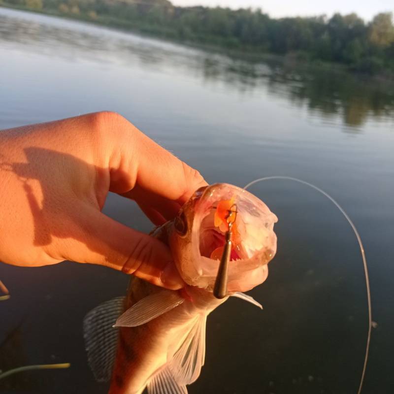 Фотозвіт риболовлі - Україна