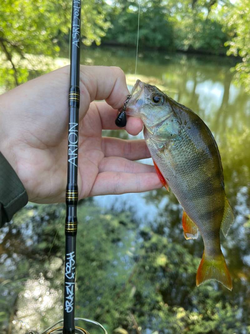 Фотозвіт риболовлі - Первомайський