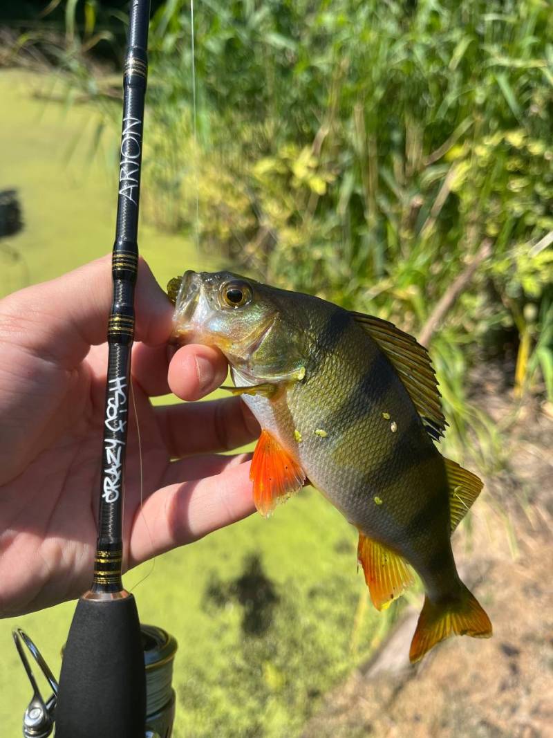 Фотозвіт риболовлі - Первомайський