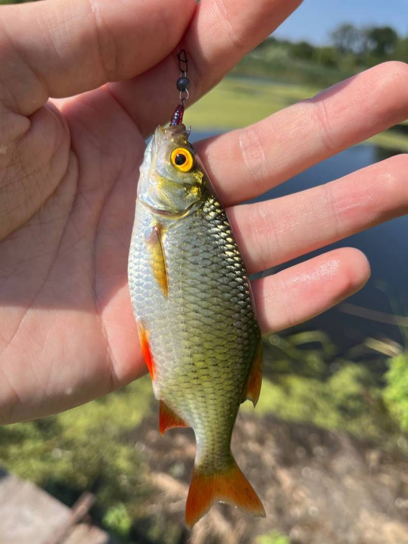 Фотозвіт риболовлі - Первомайський