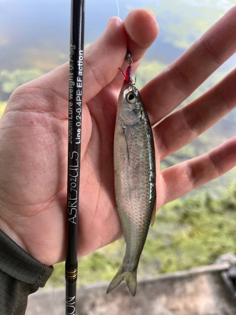 Фотозвіт риболовлі - Харківська область