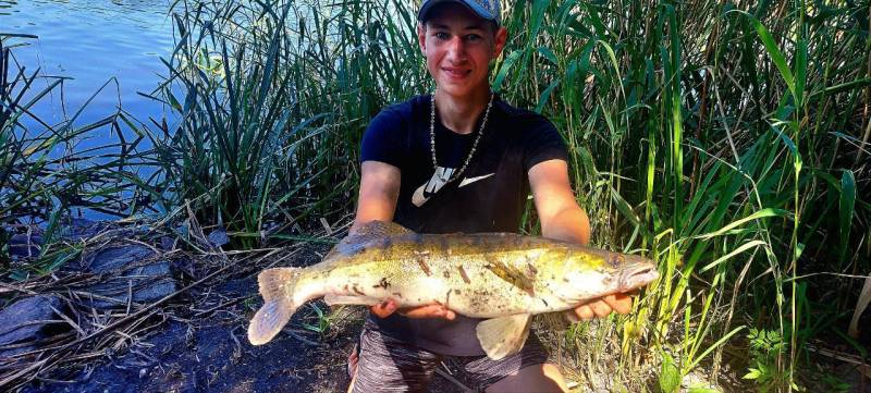 Риболовний звіт по рибі: Судак